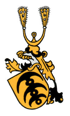 Wappen der Ritter von Stain
