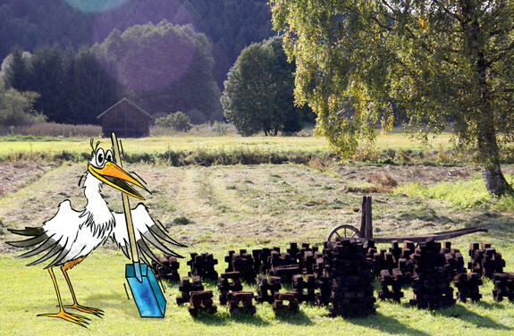 Torfstich