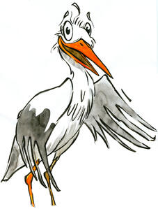Storch "Adi"